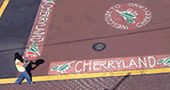 Cherryland Sidewalks