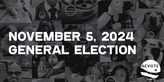 November 5, 2024, General Election